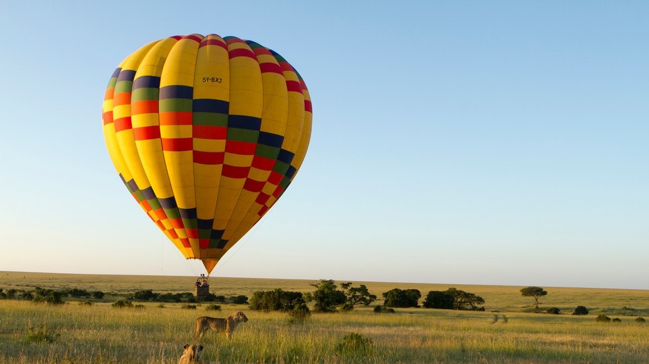 balón, zvieratá, Afrika