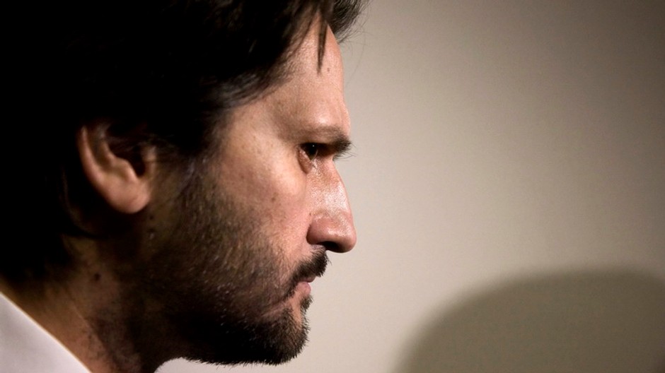 kalinak ostry pohlad profilovka