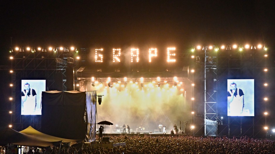 festival grape