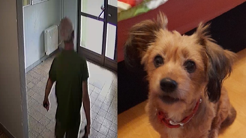 415771594_759857102846527_5628128436235703088_n (cropped)