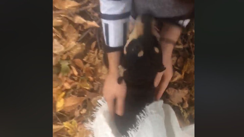 Psa zviazali a vyhodili do priekopy vo vreci