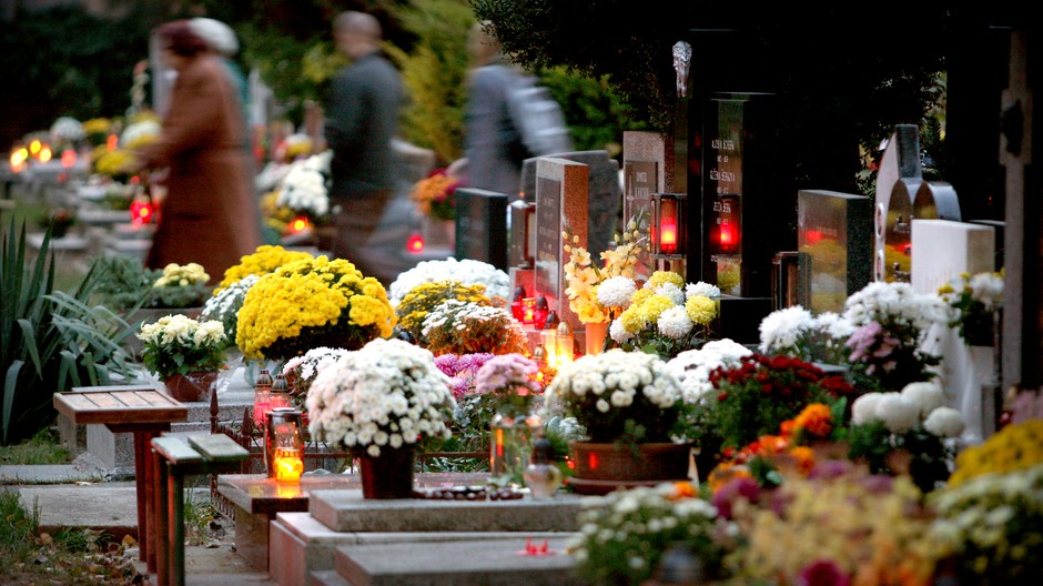 cintorín kvety ilustračné foto