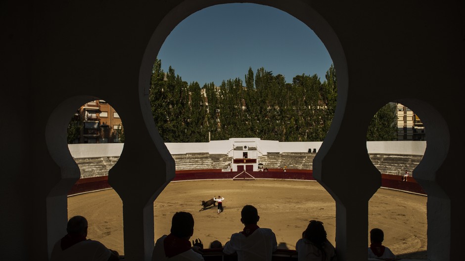 Korida, býčie zápasy