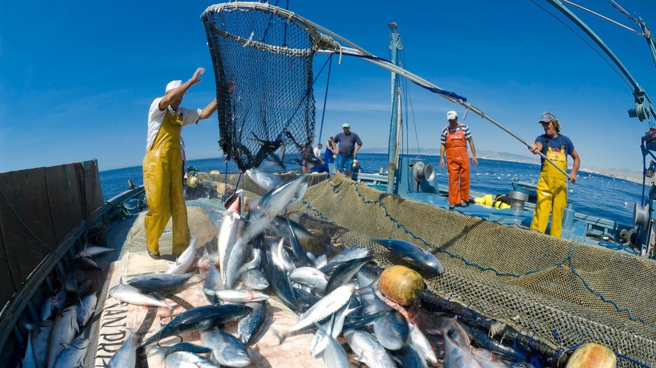 rybolov, Španielsko
