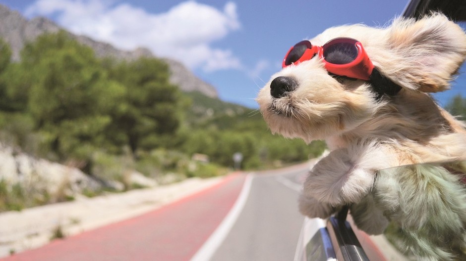 Wustentrot - kto to zaplatí, vy alebo poistka 1