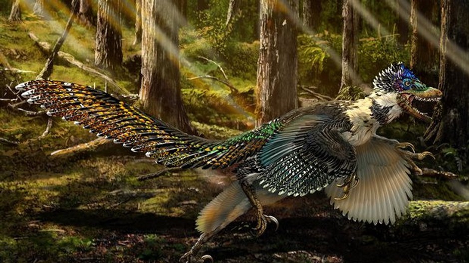 Neznámy dinosaurus objavený v Číne