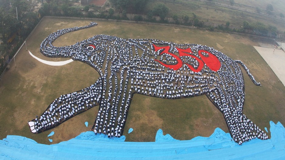 Slon indických študentov, umenie viditeľné z vesmíru