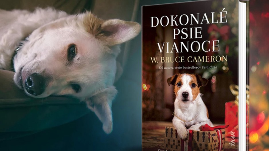 dokonale psie vianoce 2