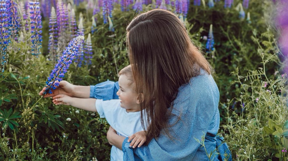 den matiek ilustracna foto