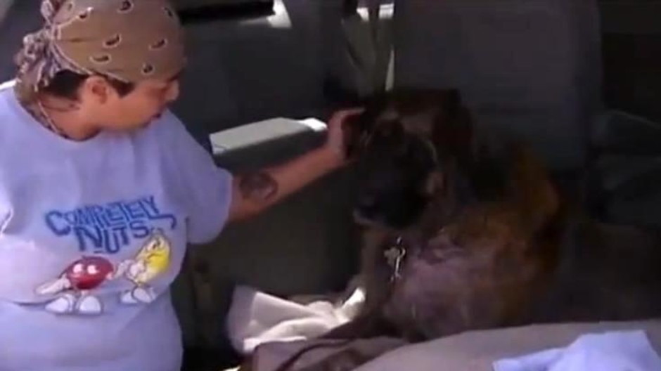 Zachránený pes Sid