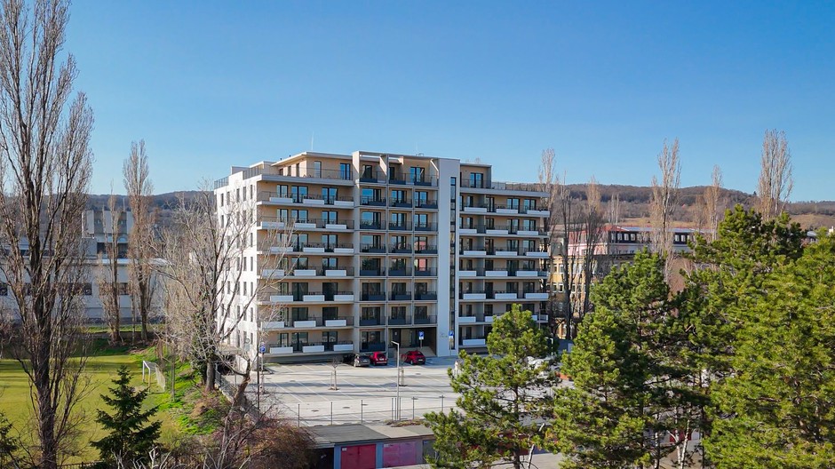 Verdena TS 1