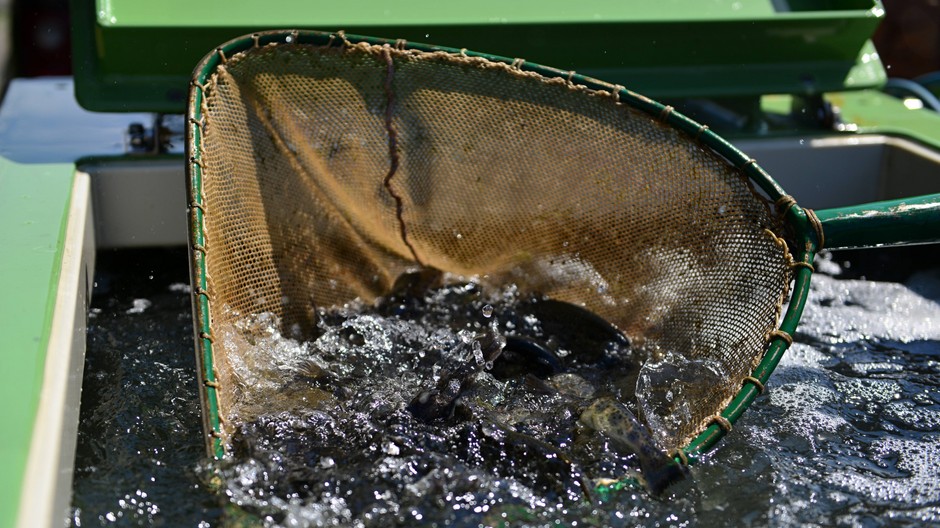 titulka sita Hron- PR článok