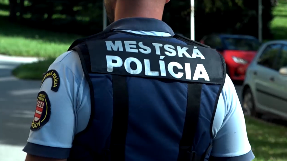 mestska policia il