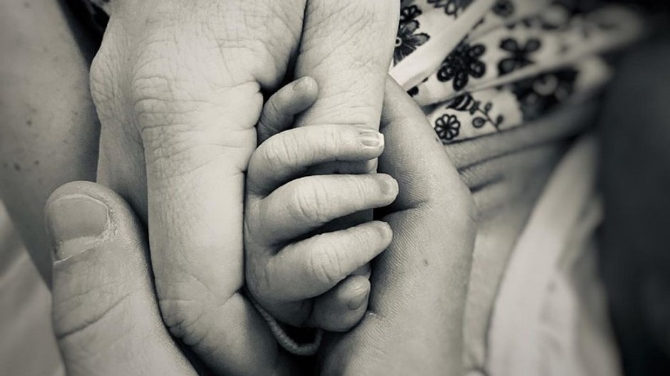 plekanec safarova babo