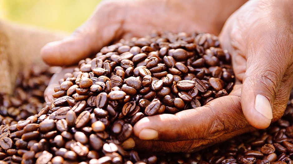 Káva pr správa Lidl