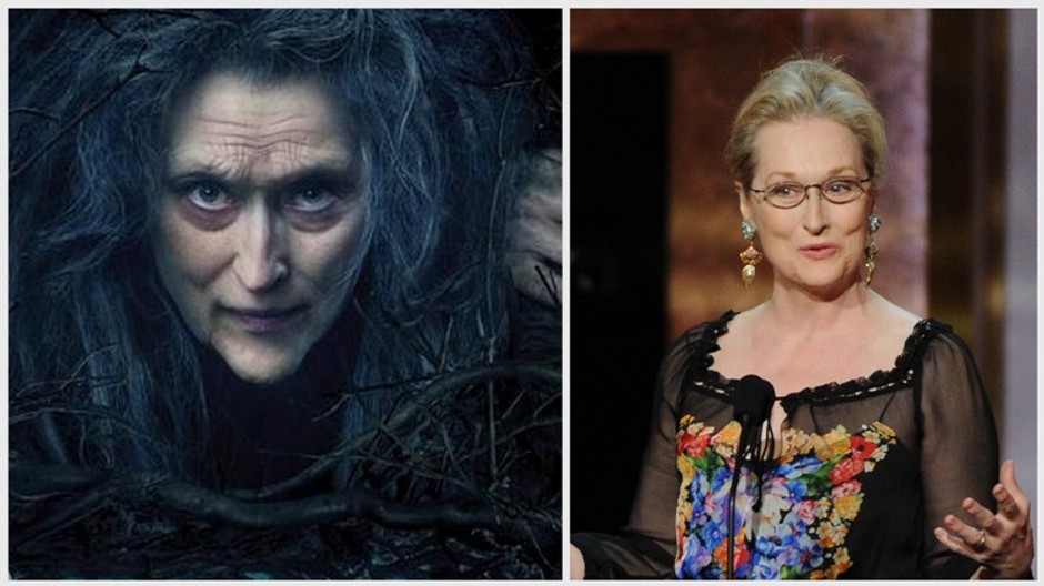 Meryl titulka