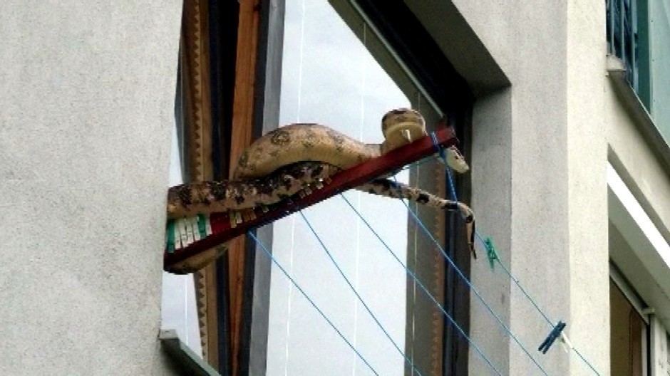 Had sušiak vyhrievanie sídlisko