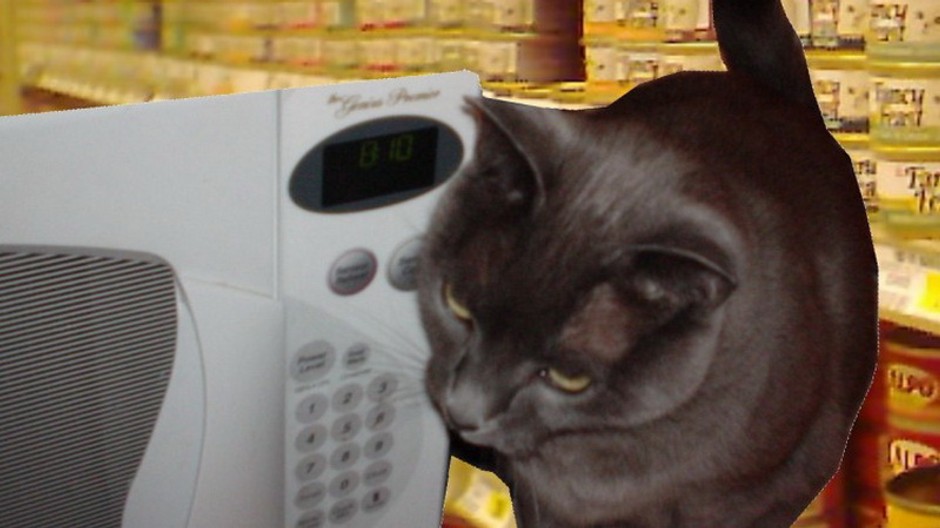 mačka pri mikrovlnke