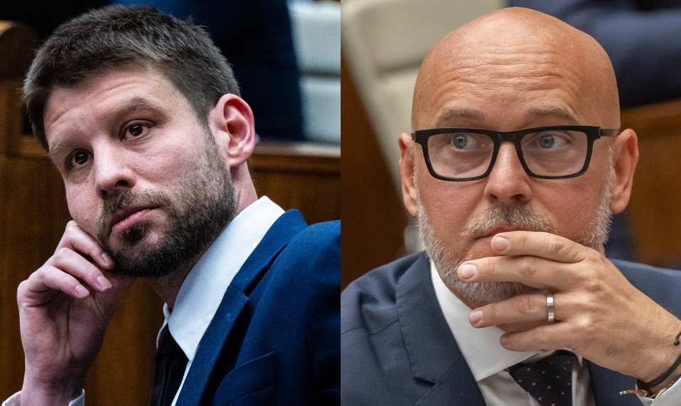 SaS chce ísť do volieb samostatne, Šimečka má iný názor