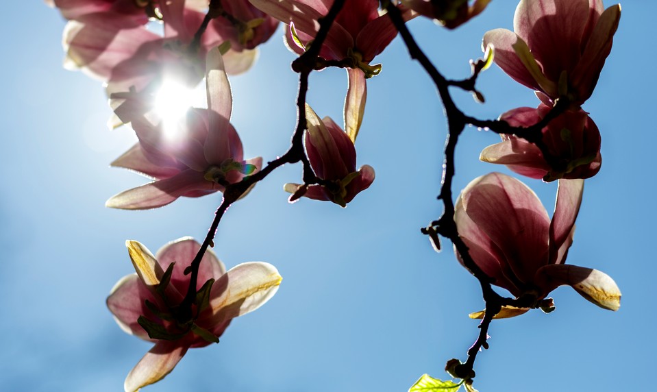 Slovensko čaká výrazné oteplenie. Budúci týždeň prinesie letné dni