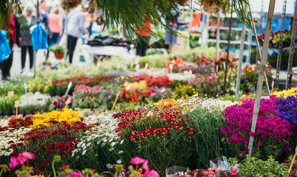Do Nitry za nábytkom a kvetmi! Už 15.4. štartuje veľtrh Nábytok a Bývanie & Gardenia 2026