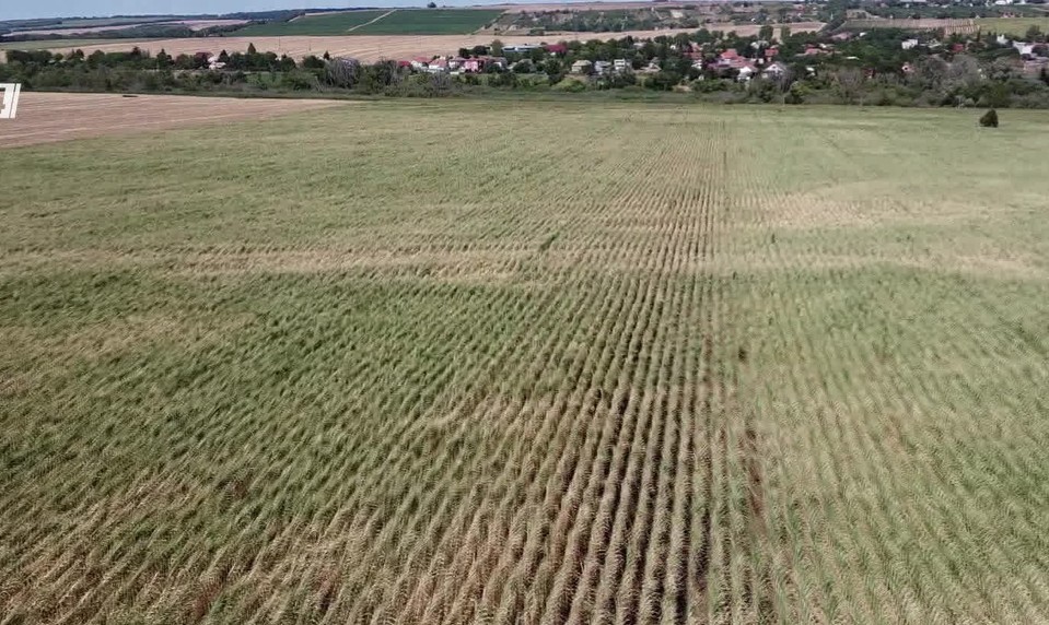 Spektrum 24 o extrémoch tohtoročného leta