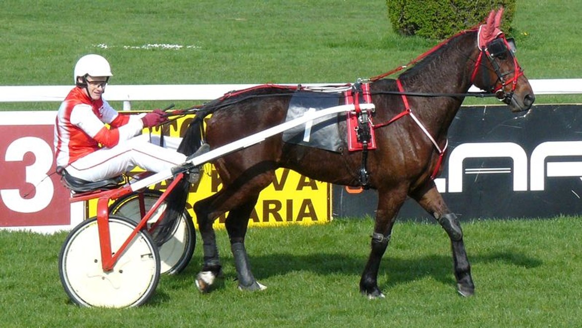 Striebro pre Stinga